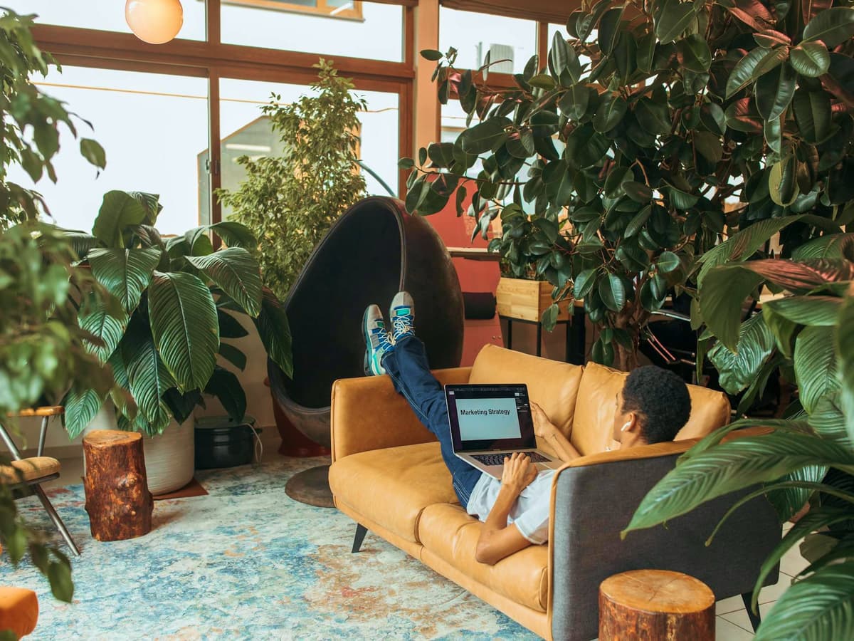 Client portal interface showing organized coaching materials